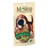 Лакомство для собак Molina бисквиты "косточка" 0,1 кг.